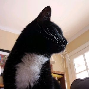 Meet your Posher, Sue